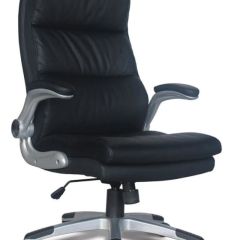 Кресло офисное BRABIX "Fregat EX-510" (рециклированная кожа, черное) 530863 в Южноуральске - yuzhnouralsk.mebel24.online | фото 1