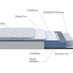 PROxSON Матрас Active Duo S/F (Ткань Трикотаж Эко) 180x190 в Южноуральске - yuzhnouralsk.mebel24.online | фото 7