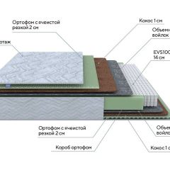 PROxSON Матрас Green M (Tricotage Dream) 80x190 в Южноуральске - yuzhnouralsk.mebel24.online | фото 6