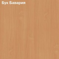 Шкаф для документов с нижними дверями Логика Л-9.3 в Южноуральске - yuzhnouralsk.mebel24.online | фото 3