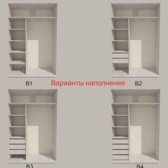 Шкаф-купе 1300 серии SILVER S4+S3Z+B2+PL1 (2 ящика+1 штанга) профиль «Серебро» в Южноуральске - yuzhnouralsk.mebel24.online | фото 5