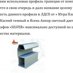 Шкаф-купе 1500 серии SILVER S1+S1+B2+PL2 (2 ящика+1 штанга+1 полка) профиль «Серебро» в Южноуральске - yuzhnouralsk.mebel24.online | фото 4