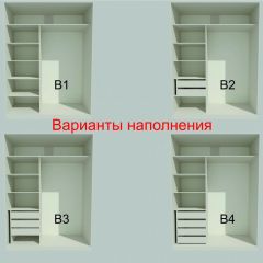 Шкаф-купе 1700 серии NEW CLASSIC K2+K2+B2+PL2(2 ящика+1 штанга+1 полка) профиль «Капучино» в Южноуральске - yuzhnouralsk.mebel24.online | фото 7