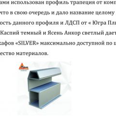 Шкаф-купе 1700 серии SILVER S3+S4+B2+PL4 (2 ящика+F обр.штанга) профиль «Серебро» в Южноуральске - yuzhnouralsk.mebel24.online | фото 4