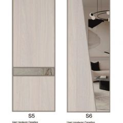 Шкаф-купе 1950 серии SILVER S6+S1+S6Z B22+PL1 (по 2 ящика лев/прав+1 штанга) профиль «Серебро» в Южноуральске - yuzhnouralsk.mebel24.online | фото 13