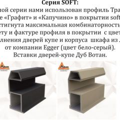 Шкаф-купе 2100 серии SOFT D2+D7+D3+B22+PL2 (по 2 ящика лев/прав+1штанга+1полка) профиль «Графит» в Южноуральске - yuzhnouralsk.mebel24.online | фото 12