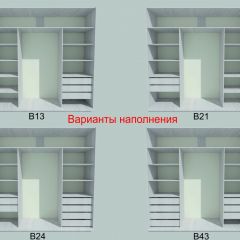 Шкаф-купе 2250 серии SILVER S3+S1+S4 B22+PL3 (по 2 ящика лев/прав+2 штанги) профиль «Серебро» в Южноуральске - yuzhnouralsk.mebel24.online | фото 5