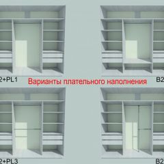 Шкаф-купе 2250 серии SILVER S3+S1+S4 B22+PL3 (по 2 ящика лев/прав+2 штанги) профиль «Серебро» в Южноуральске - yuzhnouralsk.mebel24.online | фото 6