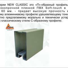 Шкаф-купе 2450 серии NEW CLASSIC K6Z+K1+K6+B22+PL2 (по 2 ящика лев/прав+1 штанга+1 полка) профиль «Капучино» в Южноуральске - yuzhnouralsk.mebel24.online | фото 17