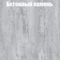 Шкаф-купе Бассо 1.0 (Дуб Крафт серый/Бетонный камень) 2 двери ЛДСП 1 зеркальная вставка в Южноуральске - yuzhnouralsk.mebel24.online | фото 3