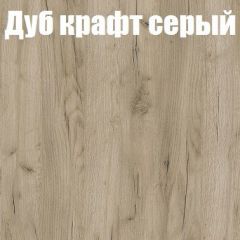 Шкаф-купе Бассо 1.0 (Дуб Крафт серый/Бетонный камень) 2 двери ЛДСП 1 зеркальная вставка в Южноуральске - yuzhnouralsk.mebel24.online | фото 4