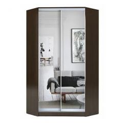 Шкаф-купе ХИТ-У-R-23-64-55 в Южноуральске - yuzhnouralsk.mebel24.online | фото