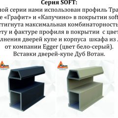 Шкаф-купе 1400 серии SOFT D1+D3+B2+PL1 (2 ящика+1штанга) профиль «Графит» в Южноуральске - yuzhnouralsk.mebel24.online | фото 5