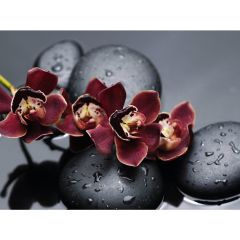 Стол обеденный Бостон Ст101.1 орхидеи в Южноуральске - yuzhnouralsk.mebel24.online | фото 3