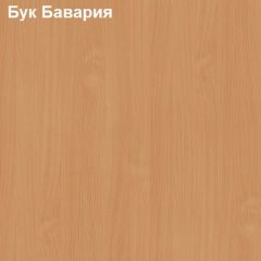 Стол приставной выкатной Логика Л-6.11 (Тумба мобильная) в Южноуральске - yuzhnouralsk.mebel24.online | фото 2