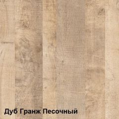 Трувор Прихожая 15.120 в Южноуральске - yuzhnouralsk.mebel24.online | фото 4