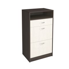 Обувница Вега ОБ-3 в Южноуральске - yuzhnouralsk.mebel24.online | фото