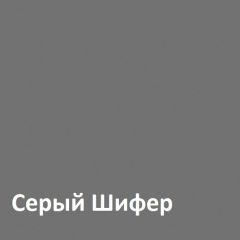 Юнона Шкаф торцевой 13.221 в Южноуральске - yuzhnouralsk.mebel24.online | фото 2