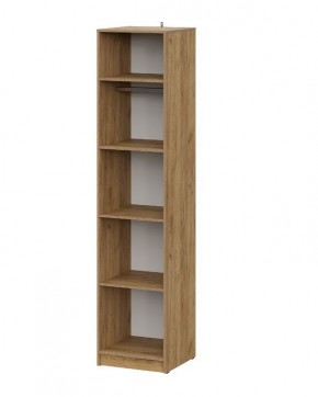 АВИНЬОН Прихожая Пенал (Дуб Крафт золотой/Графит серый) в Южноуральске - yuzhnouralsk.mebel24.online | фото 2