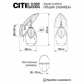 Бра Citilux Garuda CL420313 в Южноуральске - yuzhnouralsk.mebel24.online | фото 5