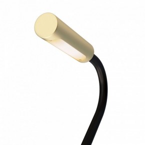 Бра Maytoni Stem C035WL-L3MG3K в Южноуральске - yuzhnouralsk.mebel24.online | фото 6