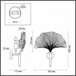 Бра Odeon Light Ventaglio 4870/1W в Южноуральске - yuzhnouralsk.mebel24.online | фото 6