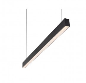 DK9123-BK Линейный светильник 30W 1250mm 3000K, черный в Южноуральске - yuzhnouralsk.mebel24.online | фото 1
