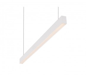 DK9123-WH Линейный светильник 30W 1250mm 3000K, белый в Южноуральске - yuzhnouralsk.mebel24.online | фото 1