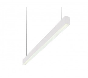 DK9124-WH Линейный светильник 30W 1250mm 4000K, белый в Южноуральске - yuzhnouralsk.mebel24.online | фото 1