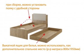 Дуглас (подростковая) М14 Кровать в Южноуральске - yuzhnouralsk.mebel24.online | фото 5