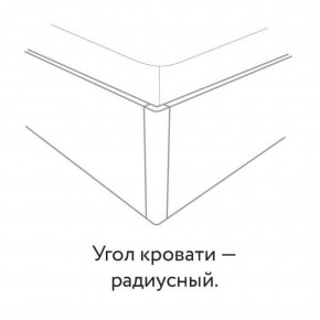 Кровать "Сандра" БЕЗ основания 1200х2000 в Южноуральске - yuzhnouralsk.mebel24.online | фото 3