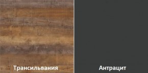 Кухонный гарнитур угловой Трансильвания 2600х1600 мм (Стол. 38 мм) в Южноуральске - yuzhnouralsk.mebel24.online | фото 3