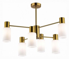 Люстра на штанге EVOLUCE Gessi SLE1139-302-06 в Южноуральске - yuzhnouralsk.mebel24.online | фото 2