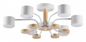 Люстра на штанге Lumion Rondo 8231/6C в Южноуральске - yuzhnouralsk.mebel24.online | фото