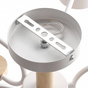 Люстра на штанге Lumion Rondo 8231/6C в Южноуральске - yuzhnouralsk.mebel24.online | фото 6