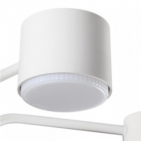 Люстра на штанге Lumion Rondo 8231/6C в Южноуральске - yuzhnouralsk.mebel24.online | фото 7