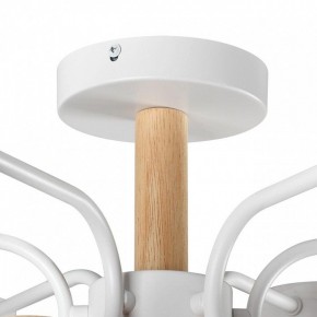 Люстра на штанге Lumion Rondo 8231/6C в Южноуральске - yuzhnouralsk.mebel24.online | фото 8