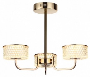 Люстра на штанге Lumion Venice 6579/40CL в Южноуральске - yuzhnouralsk.mebel24.online | фото 5