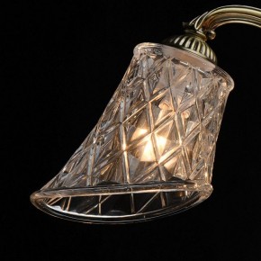 Люстра на штанге MW-Light Ариадна 32 450019105 в Южноуральске - yuzhnouralsk.mebel24.online | фото 10