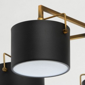 Люстра на штанге MW-Light Сайрус 2 721010205 в Южноуральске - yuzhnouralsk.mebel24.online | фото 10