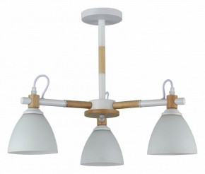 Люстра на штанге Rivoli Louise Б0060982 в Южноуральске - yuzhnouralsk.mebel24.online | фото