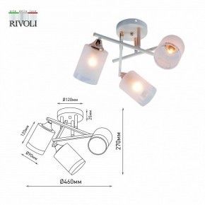 Люстра на штанге Rivoli Tammy Б0059258 в Южноуральске - yuzhnouralsk.mebel24.online | фото