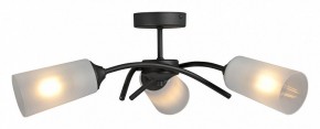 Люстра на штанге Vitaluce V2850 V2850-1/3PL в Южноуральске - yuzhnouralsk.mebel24.online | фото 3