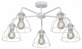Люстра на штанге Vitaluce V3102 V3102-0/5PL в Южноуральске - yuzhnouralsk.mebel24.online | фото