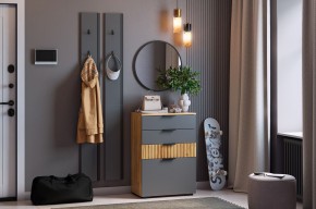 МЕБЕЛЬСОН К21 Прихожая в Южноуральске - yuzhnouralsk.mebel24.online | фото 2