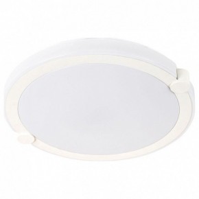 Накладной светильник Arte Lamp Biscotti A2679PL-72WH в Южноуральске - yuzhnouralsk.mebel24.online | фото