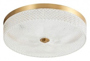 Накладной светильник Arti Lampadari Viro Viro L 1.13.35x9 G в Южноуральске - yuzhnouralsk.mebel24.online | фото