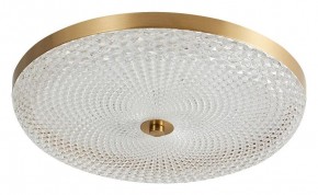 Накладной светильник Arti Lampadari Viro Viro L 1.13.45x8 G в Южноуральске - yuzhnouralsk.mebel24.online | фото