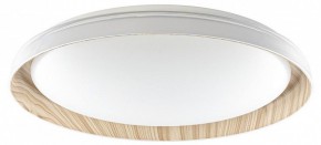 Накладной светильник Citilux MEGA CL752452G в Южноуральске - yuzhnouralsk.mebel24.online | фото