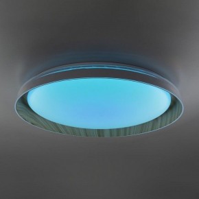 Накладной светильник Citilux MEGA CL752452G в Южноуральске - yuzhnouralsk.mebel24.online | фото 6